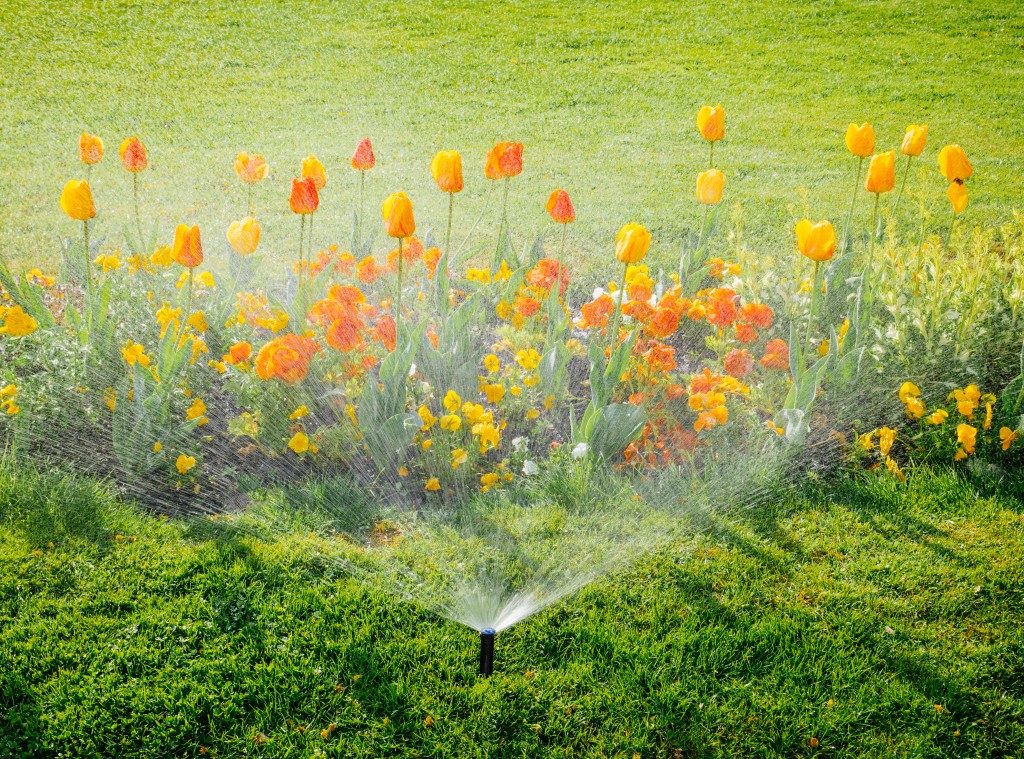 flowers in the garden being watered