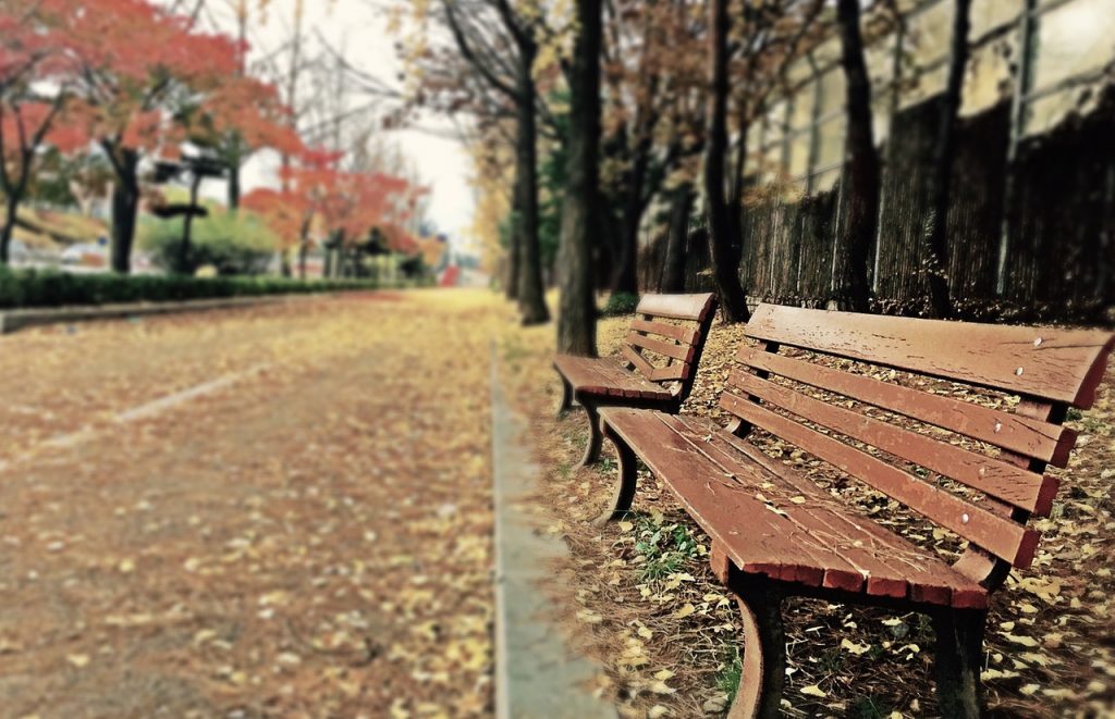 empty bench in campus